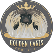 Golden Canis 